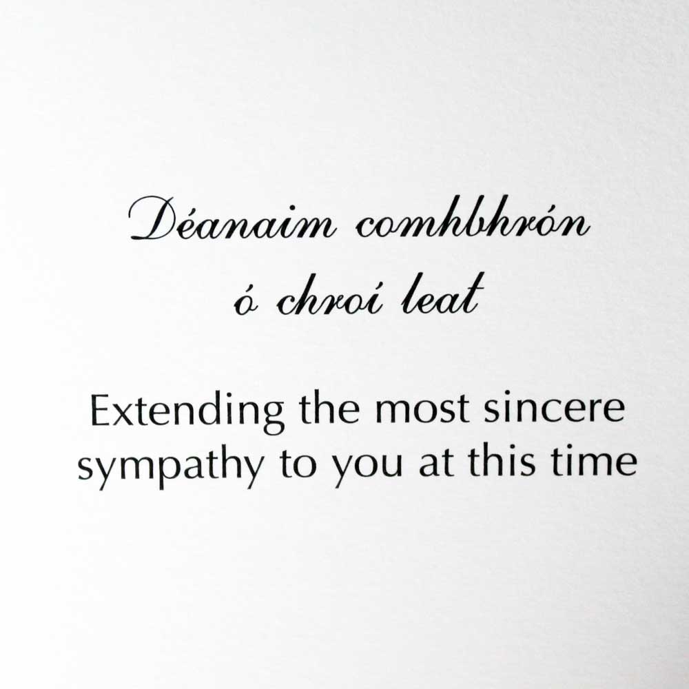 CEIST (@ceisttrust) on Twitter photo Our sincere condolences to all @staidanscs and <a href="/aidanssns/">St. Aidan’s SNS</a> on their inconsolable loss. May the staff, students and wider communities be wrapped in support and care and be assured of our thoughts and prayers at this difficult time. Dia dhaoibh go léir. Our sincere condolences to all @staidanscs and <a href="/aidanssns/">St. Aidan’s SNS</a> on their inconsolable loss. May the staff, students and wider communities be wrapped in support and care and be assured of our thoughts and prayers at this difficult time. Dia dhaoibh go léir.