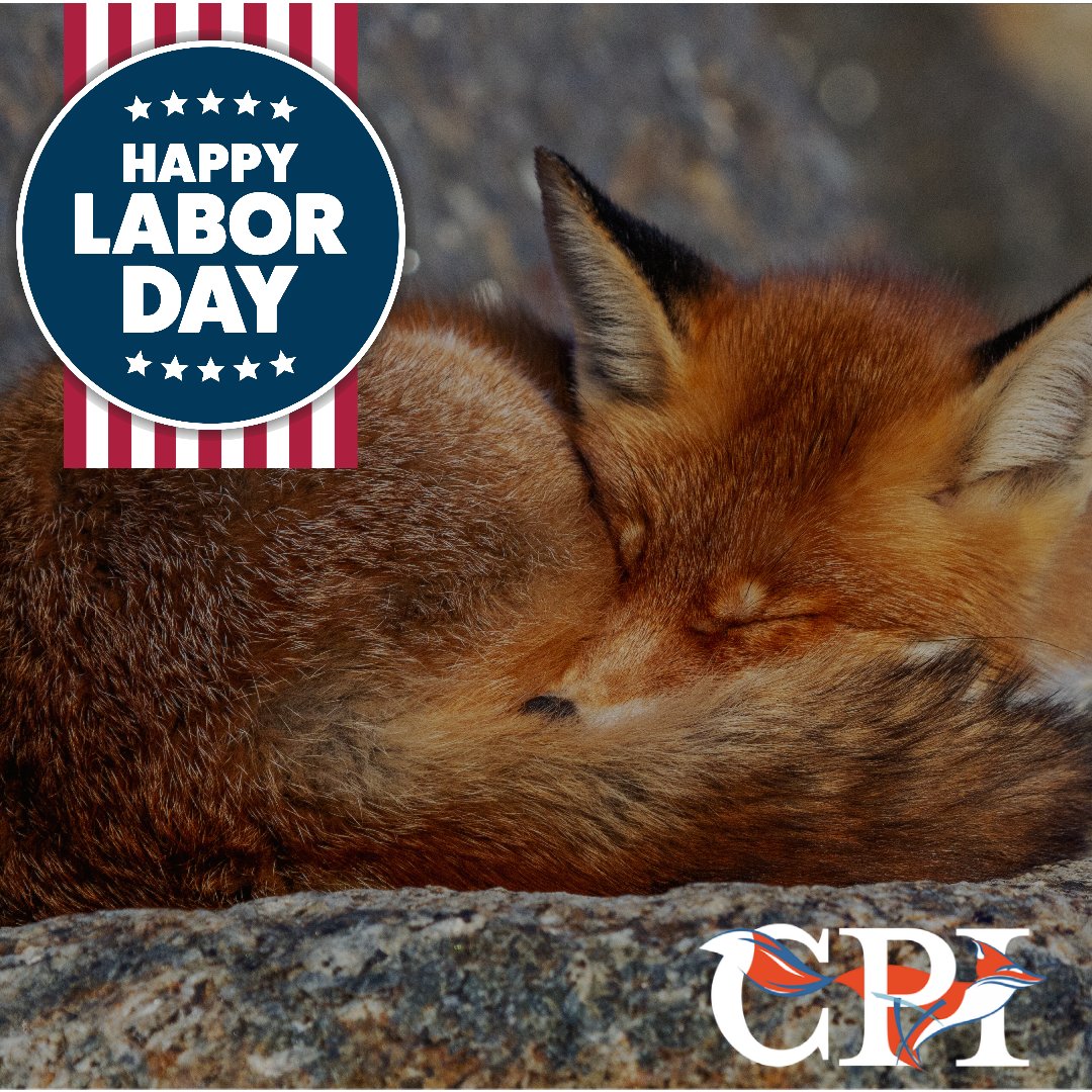 CPIOpenFox's tweet photo. From all of us at CPI, have a safe &amp; relaxing Labor Day!
#laborday #openfox 
👐 🦊 https://t.co/vszdbHpeUt