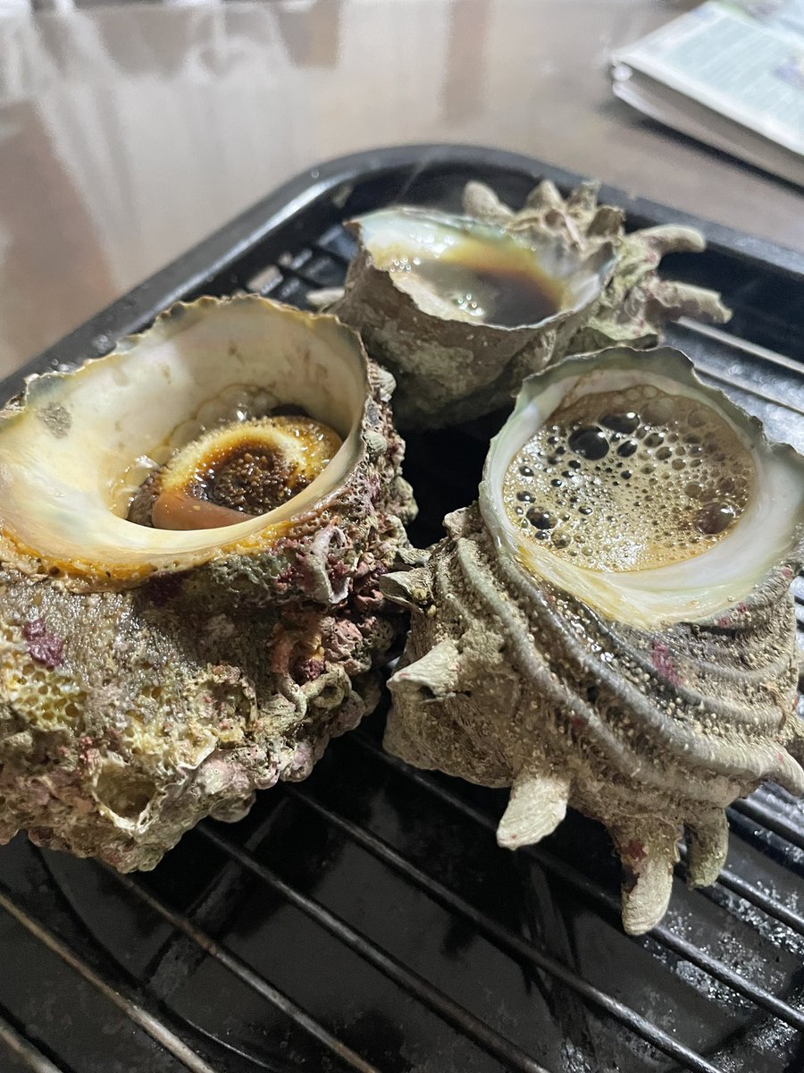 おっぱい柿様 神棚