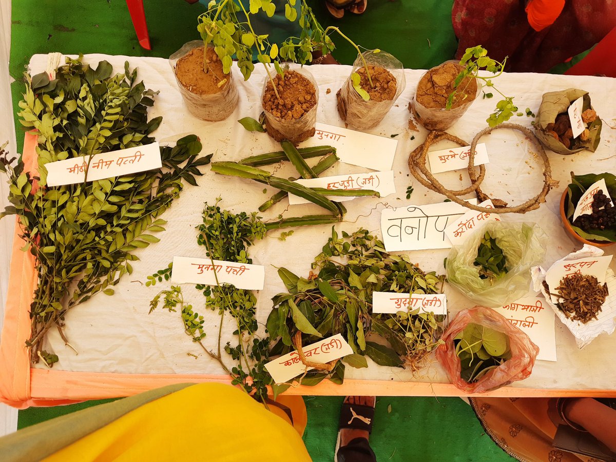 MbaAnjali's tweet photo. Food fair organized by WCD Panna, where the women groups of Vikas samvad organization displayed and presented local and traditional dishes including forest produce. #foodfairvss , @vikassamvad @CollectorPanna @mp_wcdmp @WCDMP https://t.co/alTl7i0EwZ