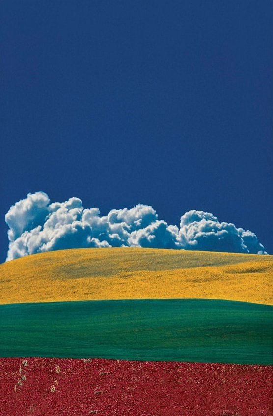 JamesLucasIT's tweet photo. Un dipinto? No, una straordinaria fotografia del grande Franco Fontana. https://t.co/1aZZ8LZ2BU
