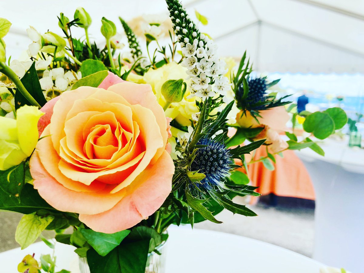 IMKevent's tweet photo. Beach wedding in Copenhagen - what an fantastic day! The weather was great, guests were awesome, and the couple was lovely ❤️

https://t.co/JkBVM4DwIx

#wedding #beach #bryllup #strand #brud #bride #floral #par #kærlighed #forlovet https://t.co/1YTzEXiMdH