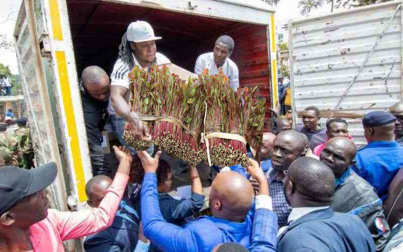 2ei_flash's tweet image. Kumbe ile lorry ya azimio ilikua ya jaba #alai #SCOK