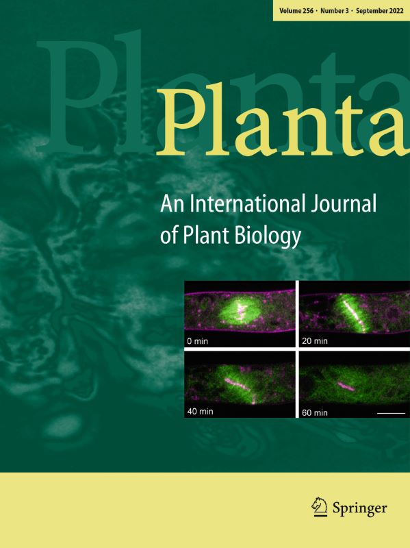SpringerPlants's tweet photo. Kira Suresh et al. show that the efficiency of suberized plant/environment interfaces as transpiration barriers is not established by the suberin polymer but by the wax molecules sorbed to the suberin polymer.

Their work is published in Planta.

https://t.co/agw2sgEVhM https://t.co/t3CSBUi16K