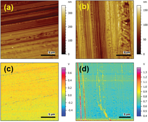 fzj_iek's tweet image. #IEK_12 and MEET Scientists Reveal the Role, Mechanism, and Impact of AlF3 Coatings on the #Interphase of Silicon Thin Film Anodes:

doi.org/10.1002/aenm.2…

#Energy #BatteryResearch @fz_juelich