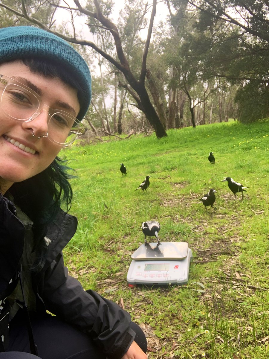 Stephanie Mason (she/they) tweet media