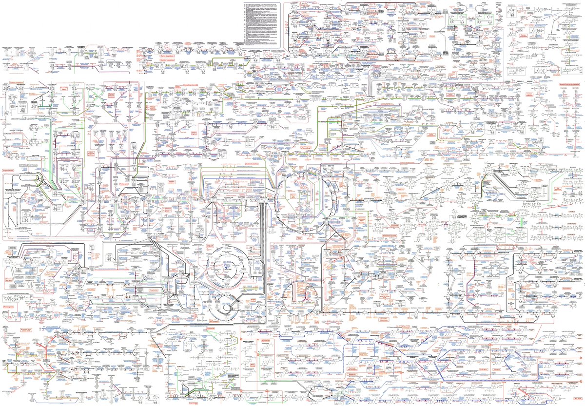 Random_Dragon's tweet photo. Silmarillion lore // Human metabolism lore https://t.co/fGvAzx29GD