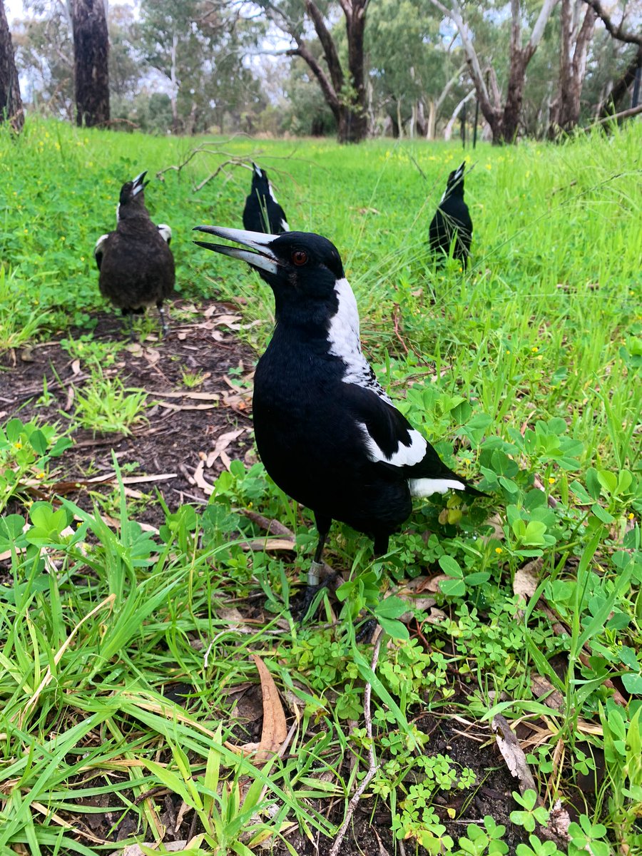 Stephanie Mason (she/they) tweet media