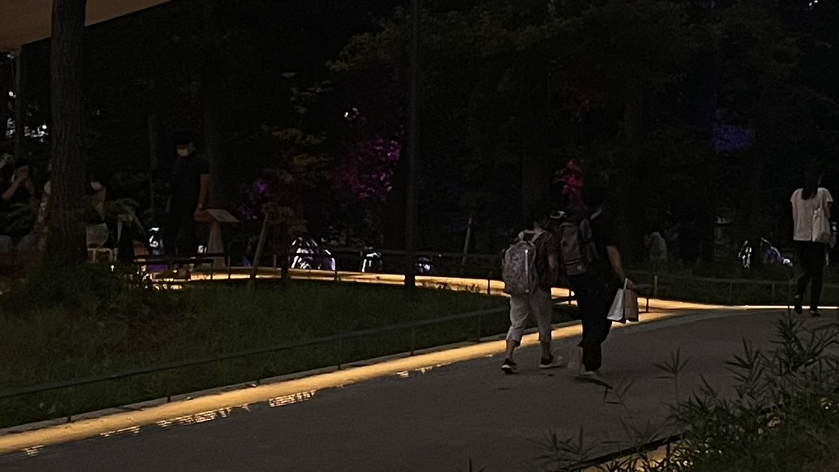 緑の中にある照明て良いよね