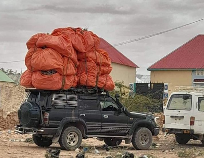 SNRDA2019's tweet photo. The police of Galmudug state arrested a car carrying a Commiphora shrub in the south of Galkacayo.
The destruction of this shrub in recent years has been going on rapidly in Somaliland &amp; Puntland states in Somalia.
✋✂️ 🌳 
@JustAwHirsi
@gabowduale
@HodderClimate 
@sayidwarsameA https://t.co/LWh9P7hiaa