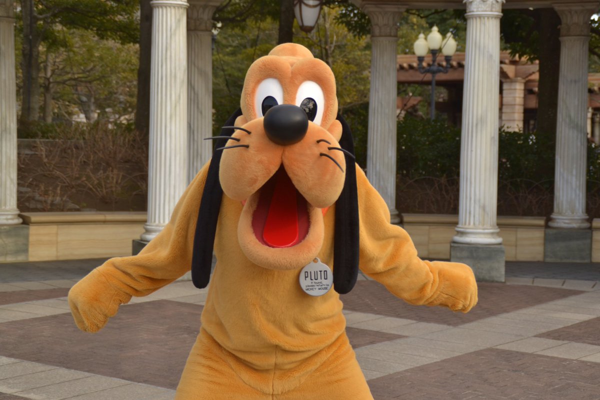 たけし@プルートすこすこ芸人 tweet media