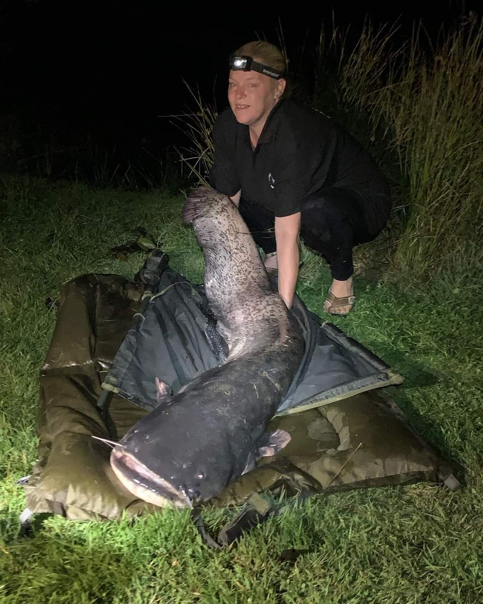 Massive congratulations to Kelly Taplin for catching a huge 61lb 8oz personal best Catfish during her session on Nirvana’s Day Ticket 🎫 Specimen Cat Lake - WHAT A CATCH!

#catfish #anglersparadise #nirvana #specimencat #welscatfish #personalbest #girlswhofish #fishinggirl
