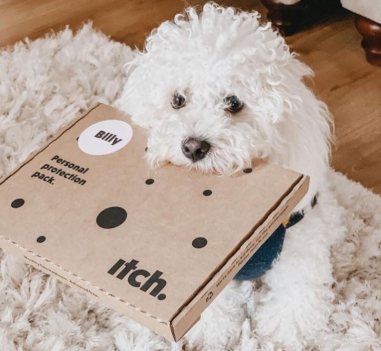 ItchPet's tweet image. "I love getting my very own post from @itchpet - fleas, ticks and lice be gone!" 📸@billythemaltichon

#itchpet #fleaprotection #fleatreatment #fleas  #fleaseason #pethealth #petwellness #petwellbeing #expertpetcare