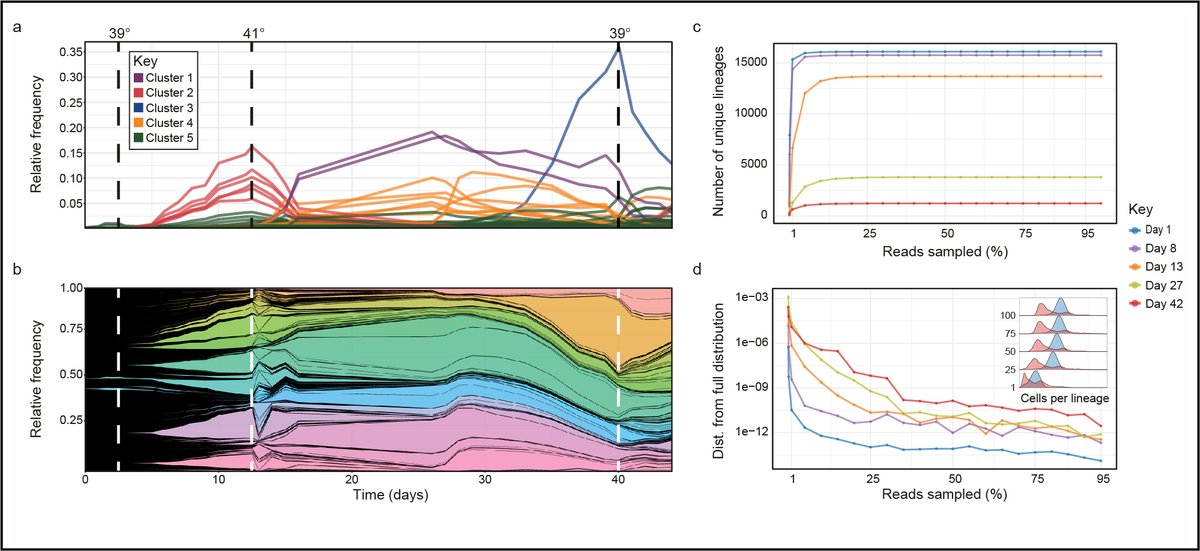 Ziv Reich's lab tweet media