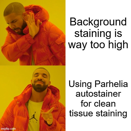 ParheliaBio's tweet photo. High background staining affecting your data resolution need not be an issue with a Parhelia autostainer.
#autostaining #parheliabio #tissuestaining https://t.co/1qeXwkbEMc