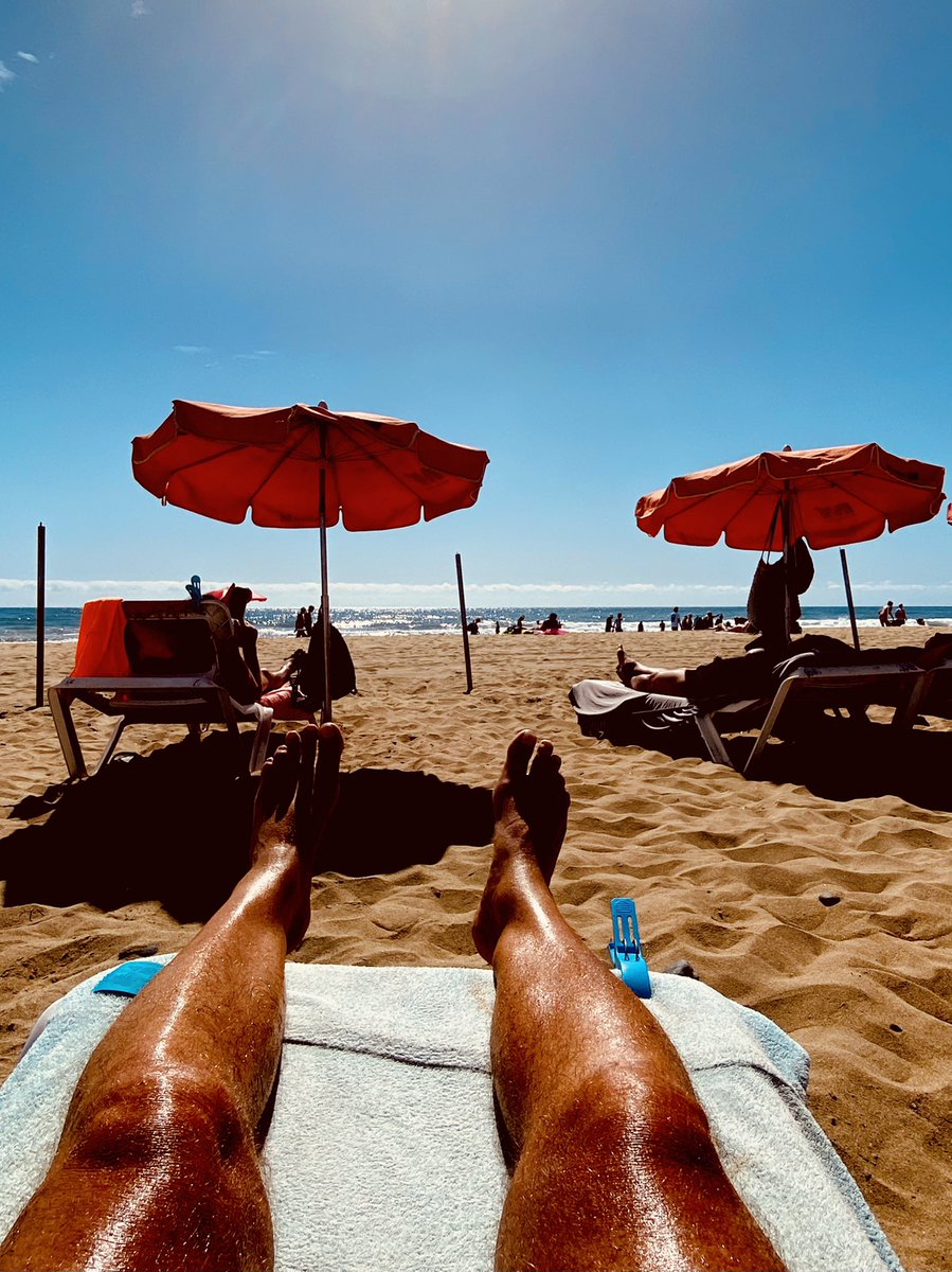 vozkb's tweet photo. Wat een leventje 😎👌👍 https://t.co/kTDQ4mQWe4