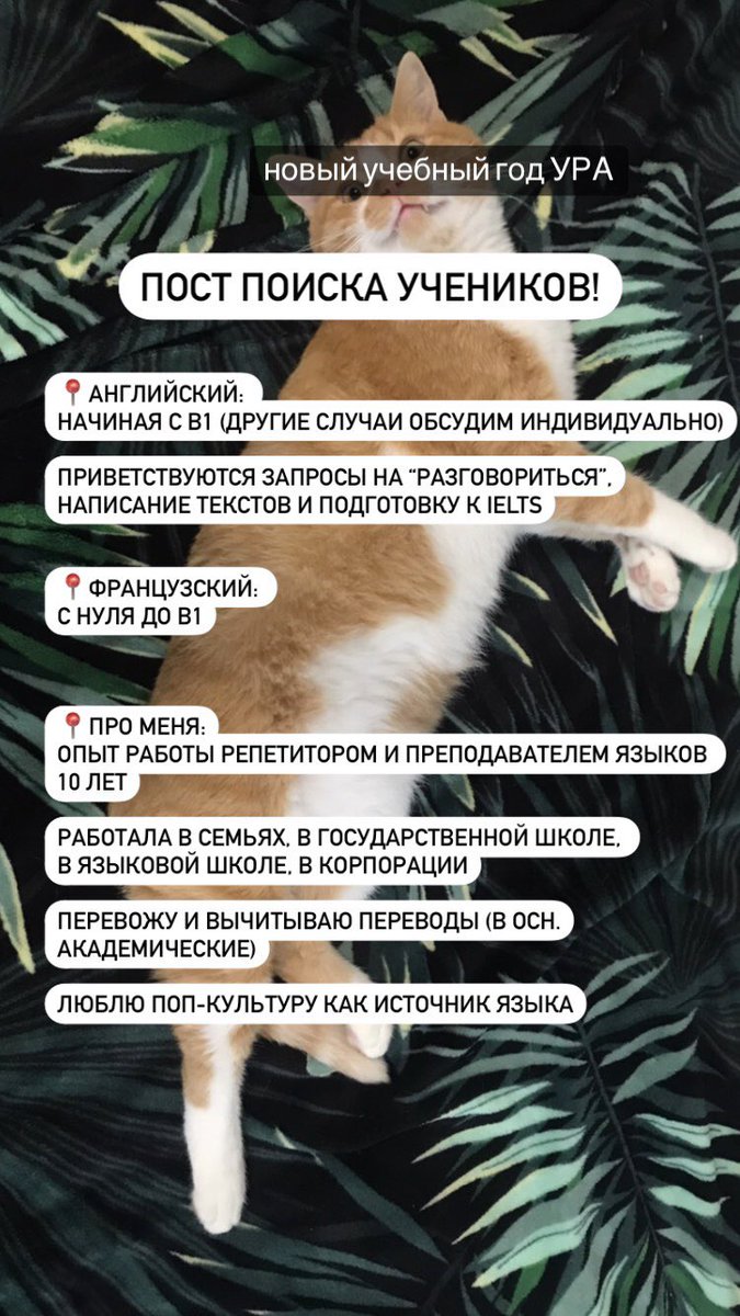 exsultans's tweet photo. ПОСТ ПОИСКА УЧЕНИКОВ:

английский &amp; французский

ретвит, пожалуйста!
вдруг мои будущие ученики — это вы 🖤 https://t.co/WiDKFjgW46