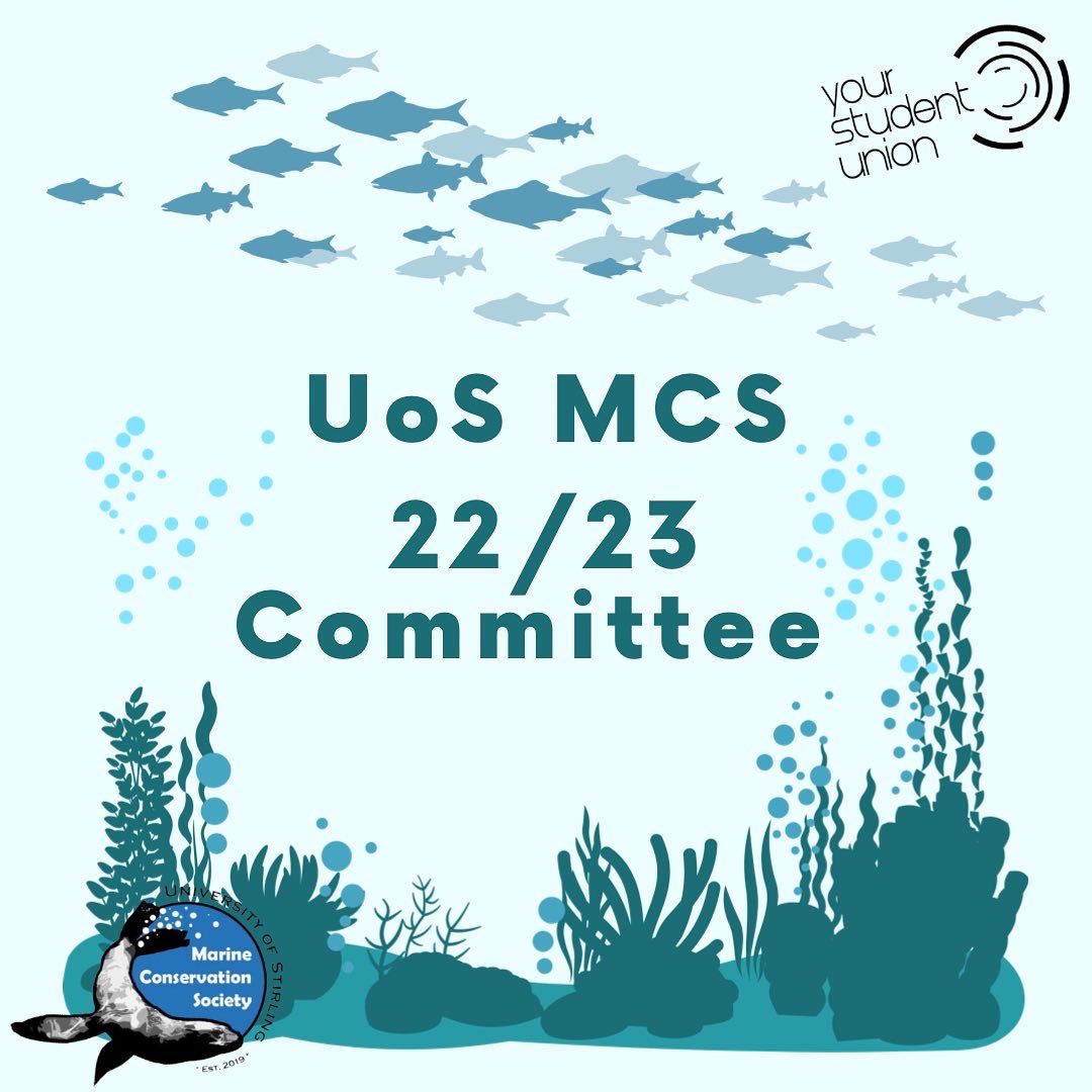 uos_mcs's tweet photo. Ahead of the new semester, we’re excited to announce our 22/23 committee! With some familiar and some new faces, all of our committee are so excited to work together to continue the successes of the society! We can’t wait to see you all!💙🌊(1/2) https://t.co/85CCmxjL8c