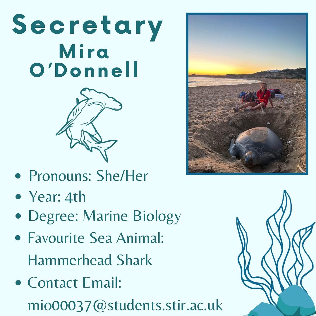uos_mcs's tweet photo. Ahead of the new semester, we’re excited to announce our 22/23 committee! With some familiar and some new faces, all of our committee are so excited to work together to continue the successes of the society! We can’t wait to see you all!💙🌊(1/2) https://t.co/85CCmxjL8c