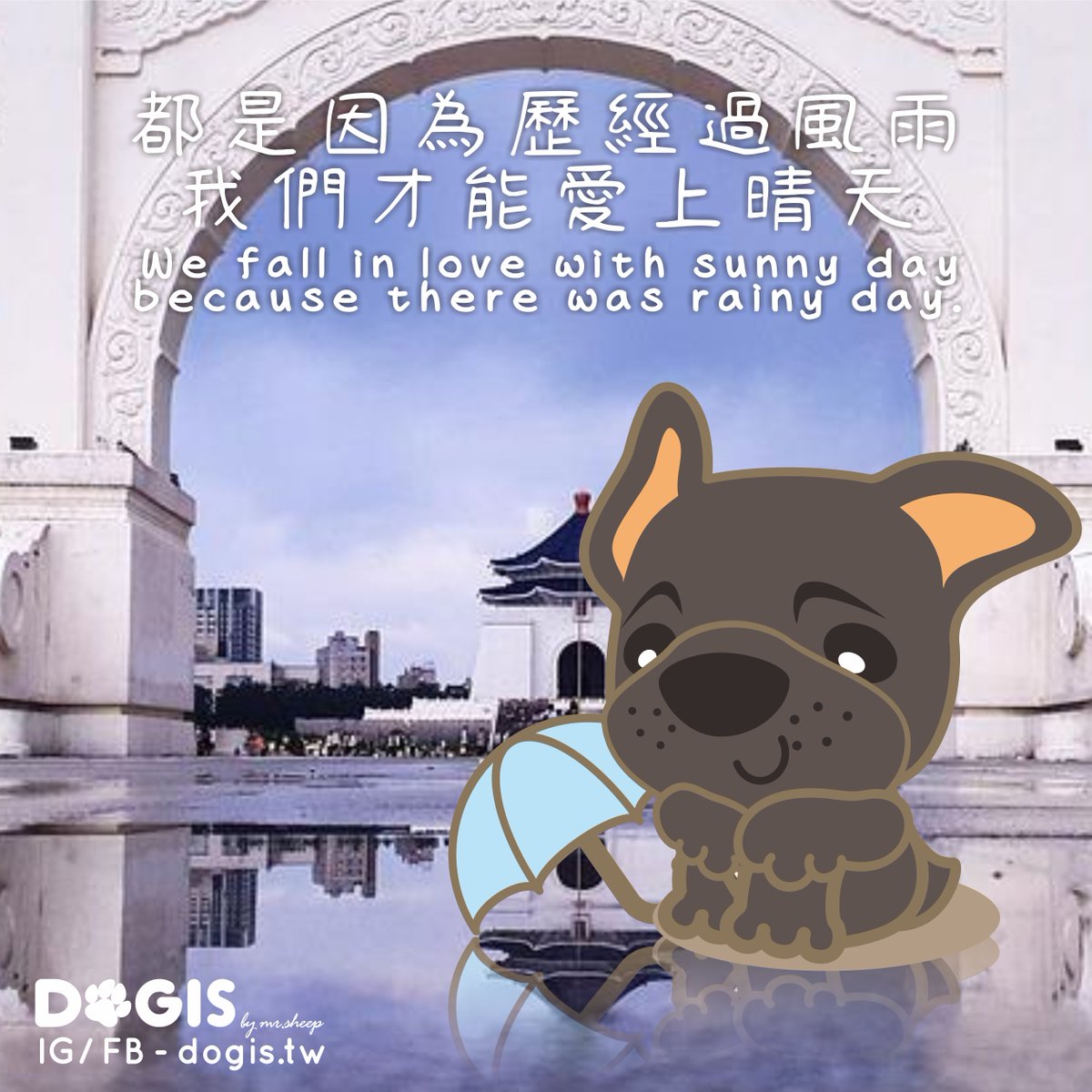 DOGIS_tw's tweet photo. 颱風過後又是懶洋洋的天氣🌞
終於有秋天微涼感覺了！
雖然沒放到颱風假
但這周末有夠好睡ＸＤ😴😴
.
都是因為歷經過風雨
我們才能愛上晴天
We fall in love with sunny day
because there was rainy day.
#DOGIS #typhoon  #成長 #雨天 #晴天 https://t.co/mwdeFhv6Kp