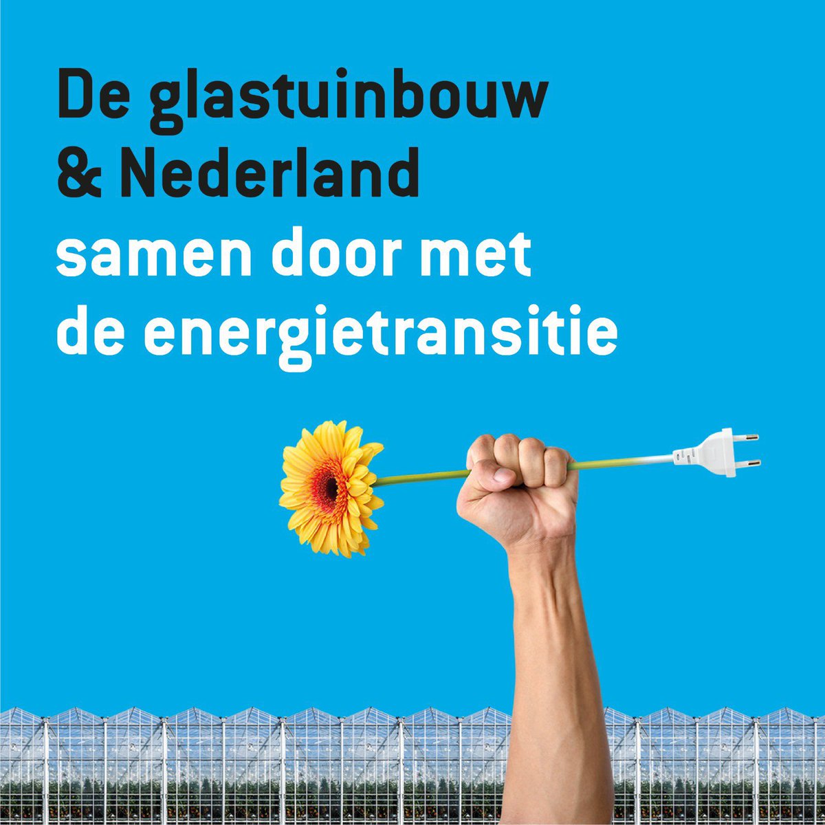 Dutchlilymaster's tweet photo. Wist u dat er in onze kassen naast groente, fruit, bloemen en planten nog veel meer moois groeit? Namelijk, energie! Door de huidige gasprijzen is dat bij veel telers tot stilstand gekomen. Ander beleid is nodig, want de #energietransitie moet door! #samendoor #tuindersinactie https://t.co/e3godDrHS3