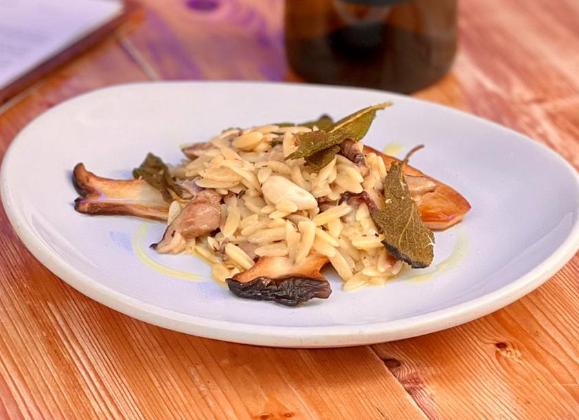 thetapasroom's tweet photo. September is Rueda month! And across all our venues you will find gorgeous tapas and Verdejo pairings. Like this one over in Brixton where Vina Oropéndola is snuggling up to a plate of King Oyster, Shiitake &amp; fried sage. Enjoy 2 glasses for £12! https://t.co/vkMfvUJHRb