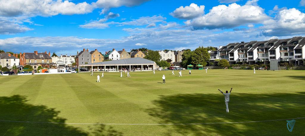 Cricket Leinster tweet media