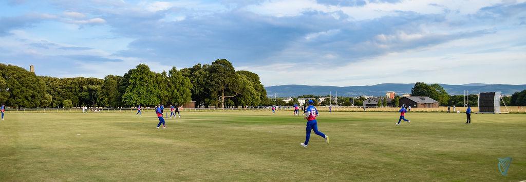 Cricket Leinster tweet media