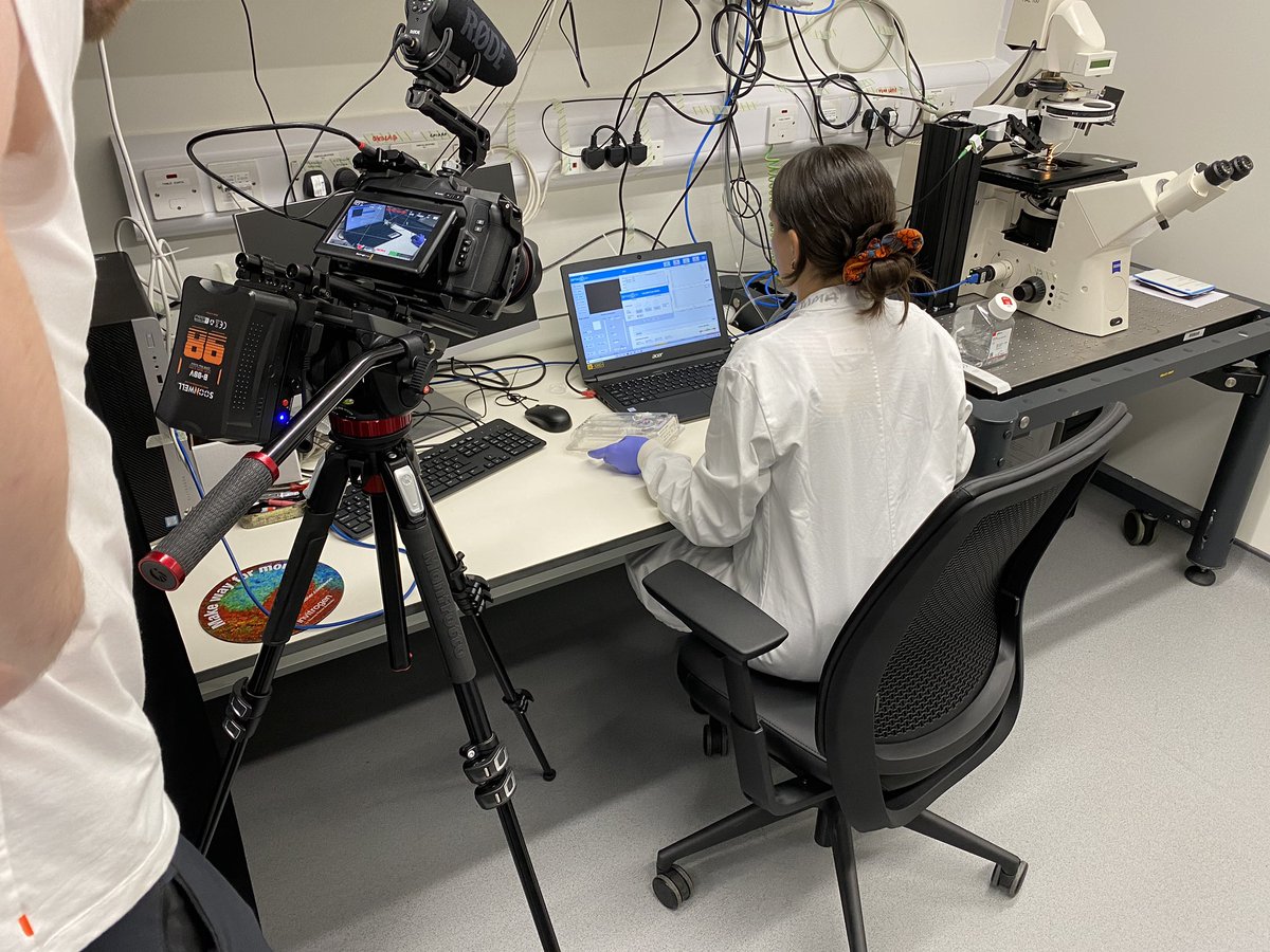 Giuseppe Ciccone (@giusciccone) on Twitter photo Fun day filming our <a href="/JoVEJournal/">JoVE</a> protocol on nanoindentation of soft gels and cells <a href="/MarianaAG0/">Mariana Azevedo G Oliva</a> <a href="/MassiVassi/">Massimo Vassalli</a> <a href="/theglasgowcemi/">Centre for the Cellular Microenvironment</a> Fun day filming our <a href="/JoVEJournal/">JoVE</a> protocol on nanoindentation of soft gels and cells <a href="/MarianaAG0/">Mariana Azevedo G Oliva</a> <a href="/MassiVassi/">Massimo Vassalli</a> <a href="/theglasgowcemi/">Centre for the Cellular Microenvironment</a>