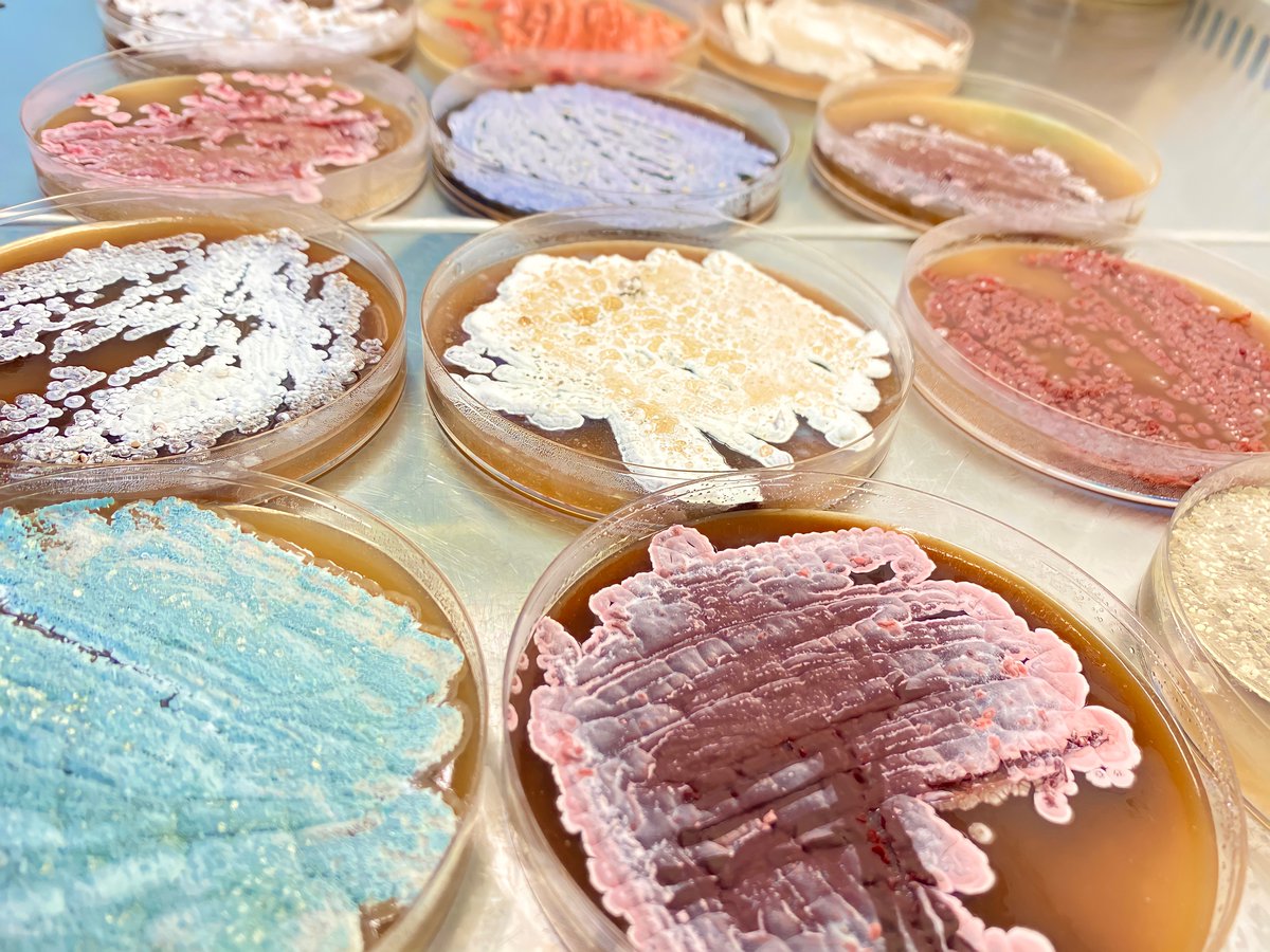 Science à la pelle tweet media