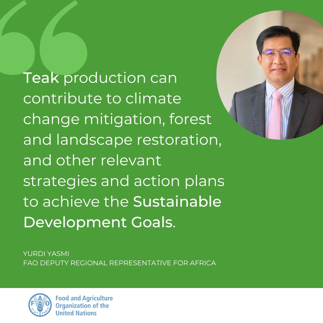 FAOAfrica's tweet photo. At the opening of the 4th World Teak Conference, @Yurdi_Yasmi highlighted @FAO’s support for the sustainable management of teak production systems.
#Teak #TEAK2022 #Teaknet https://t.co/doAh5OOcZ8