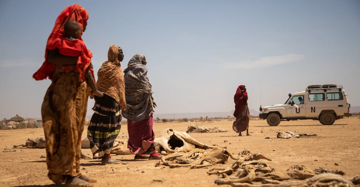 DevelopmentHorn's tweet image. The UN should do more to avoid a total disaster.
More than 213,000 people across Somalia are at imminent risk of dying. @shf_somalia @NGOConsortium  @UNOCHA @IOMRONairobi @FAO @Refugees