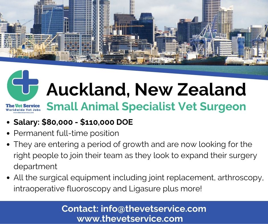 The Vet Service on Twitter "Specialist opportunity in Auckland! 🥝
