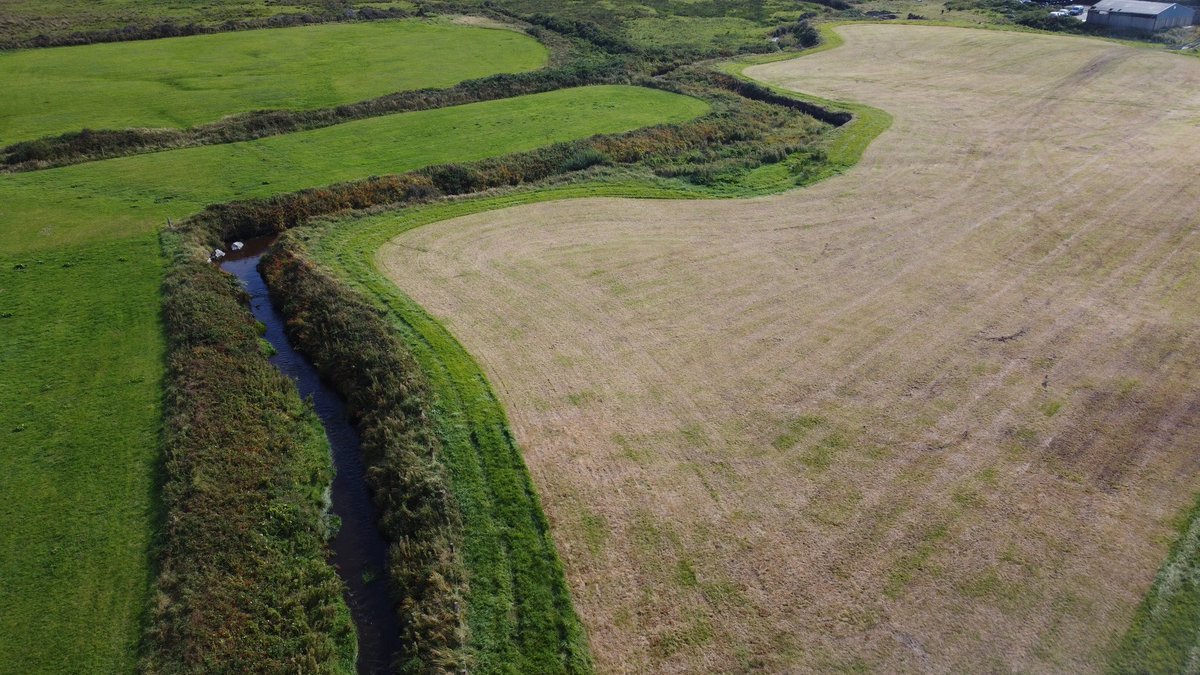 Simple and practical thing to do for nature and water quality.

Permanent exclusion area by stream, plus a few metres of a buffer strip, unfertlised and cut once late in the year.