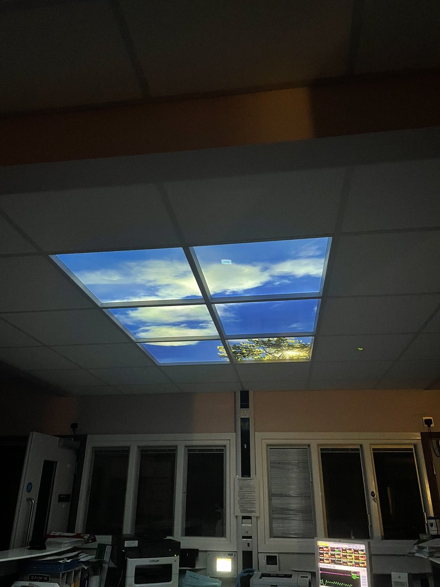Our shared governance team, along with Hilda’s well-being LEO project has meant we now have this beautiful sky light to show off!! It is especially perfect for on night shifts. @MakingsRn @riggers4 @ann_mcgoran @TeamRenal @alison_kinchin ⛅️