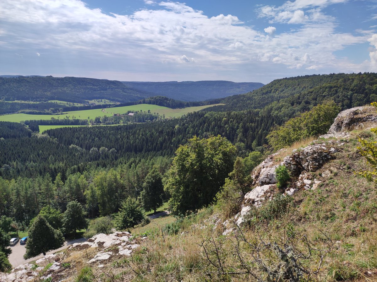 MarkusBhler10's tweet photo. I am literally walking over ancient seafloor. The area of the #Lochen on the Swabian Alps is especially famous for its highly abundant sponge fossils. Small conical sponges are sometimes fully preserved, the larger ones usually fragmented. https://t.co/1Zhzy7ruce
