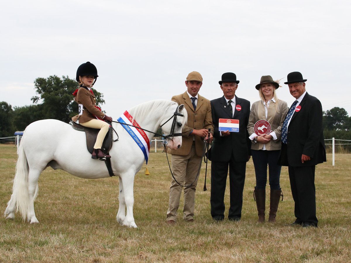 We were delighted to sponsor the Supreme Pony Championships over the weekend <a href="/MoretonShow/">Moreton Show</a>  Congratulations to everyone who participated and to this year's winner!