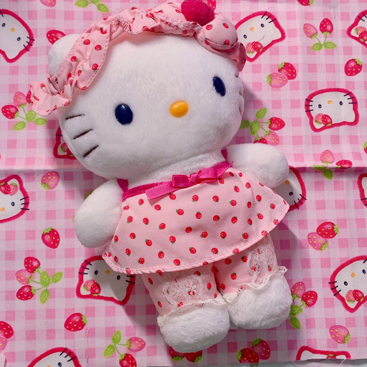 eluve_kitty's tweet photo. https://t.co/L38Nmh5WtY