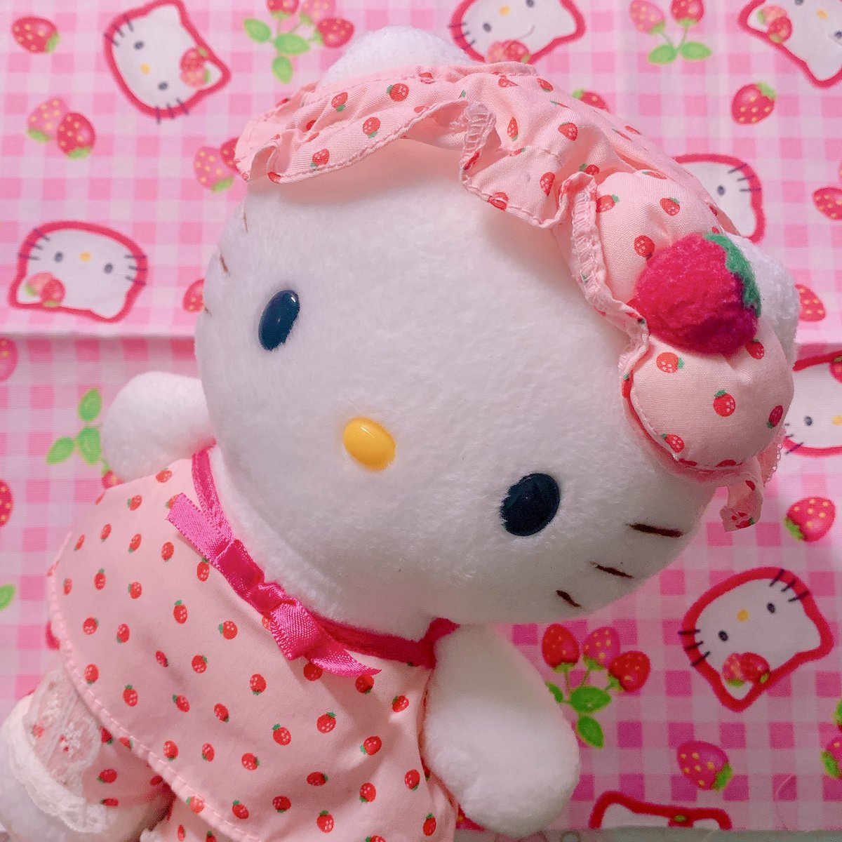 eluve_kitty's tweet photo. https://t.co/L38Nmh5WtY