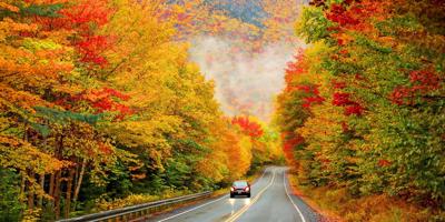 LynFierce's tweet photo. These are the best 20 places to see fall foliage in the United States. Take a trip to New England-hit Vermont, Maine, and New Hampshire, travel south to Tennessee, or go west to Colorado if you hope to leaf peep this autumn. https://t.co/ZBHxpHGBO1 https://t.co/1GjaMdIEw7