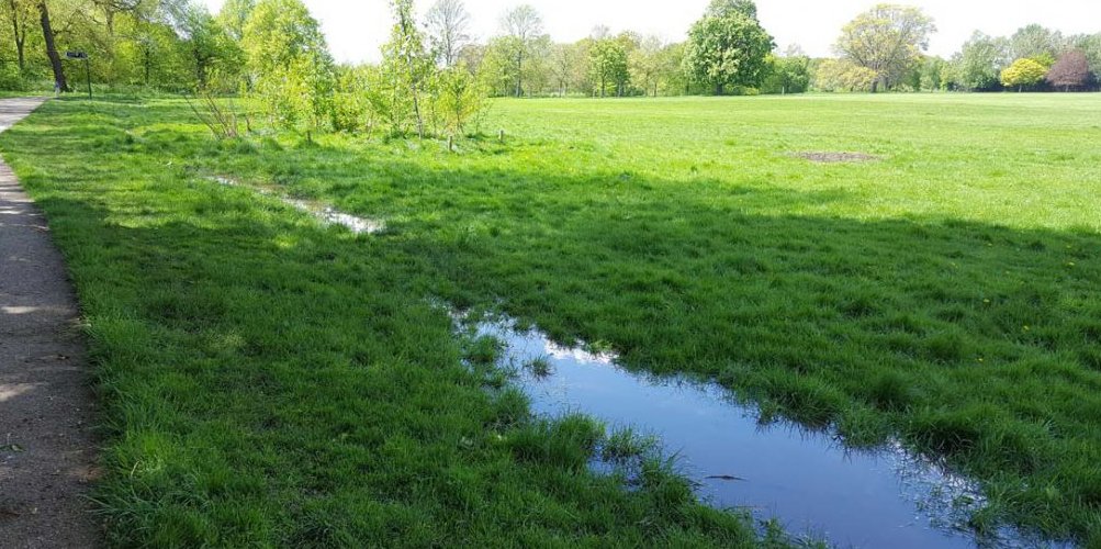 JBAConsulting's tweet photo. Next week marks the start of the 14th @britishhydrosoc National Symposium at @LancasterUni. Several colleagues from JBA will be presenting on a range of topics from #NaturalFloodManagement to #Ecohydrology. Visit the BHS website for more information. https://t.co/z94lt4e4AE https://t.co/msRjws0d3B