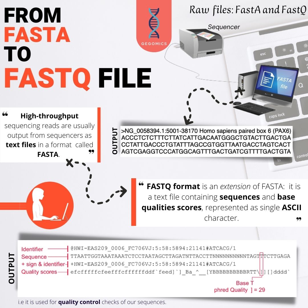 BabiGega's tweet image. #Sequencing DNA and deeply understand what the nucleotides have to tell us, nowadays means also managing #rawdata and different #fileformats.
These are the #NGS file formats.
#DNA #Bioinformatics