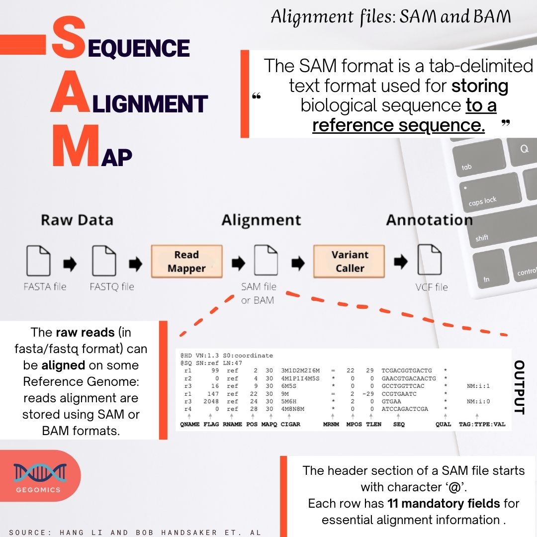 BabiGega's tweet image. #Sequencing DNA and deeply understand what the nucleotides have to tell us, nowadays means also managing #rawdata and different #fileformats.
These are the #NGS file formats.
#DNA #Bioinformatics