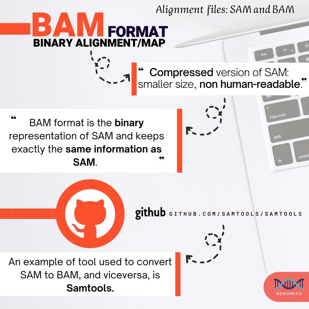 BabiGega's tweet image. #Sequencing DNA and deeply understand what the nucleotides have to tell us, nowadays means also managing #rawdata and different #fileformats.
These are the #NGS file formats.
#DNA #Bioinformatics