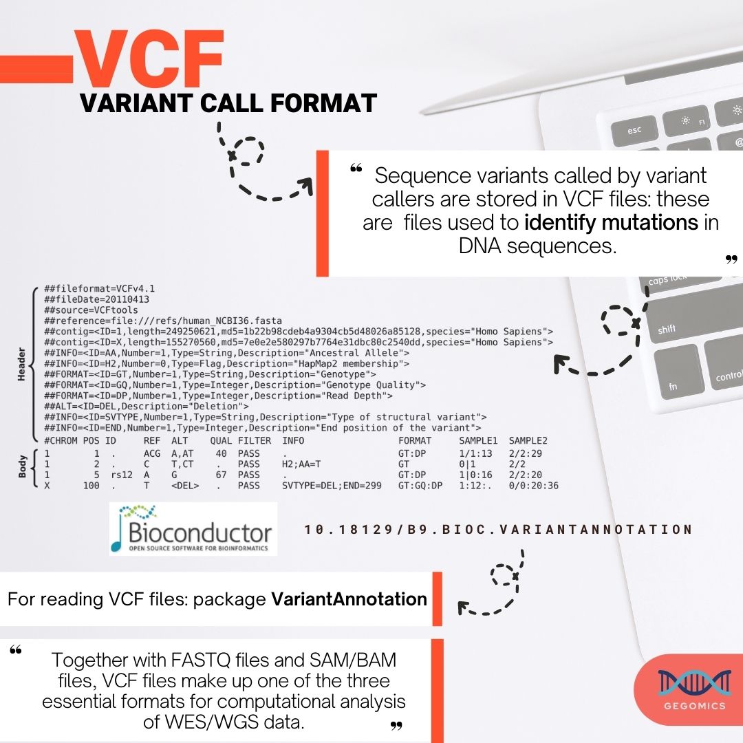 BabiGega's tweet image. #Sequencing DNA and deeply understand what the nucleotides have to tell us, nowadays means also managing #rawdata and different #fileformats.
These are the #NGS file formats.
#DNA #Bioinformatics