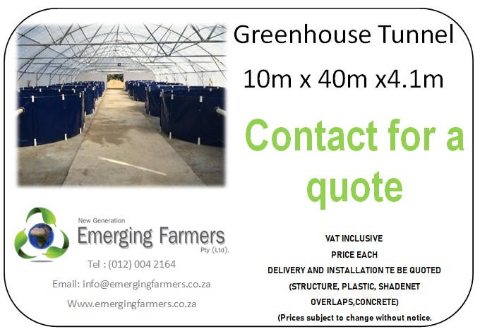 FarmersSA's tweet photo. Greenhouse Tunnel 10m x 40m x 4.1m
Contact Us For A Quote 
WhatsApp: 0833300999
Tel: (012) 004 2164
WhatsApp: 0833300999 
E-mail: info@emergingfarmers.co.za
Website: https://t.co/vpczlc70bh https://t.co/vedzbfA6PF