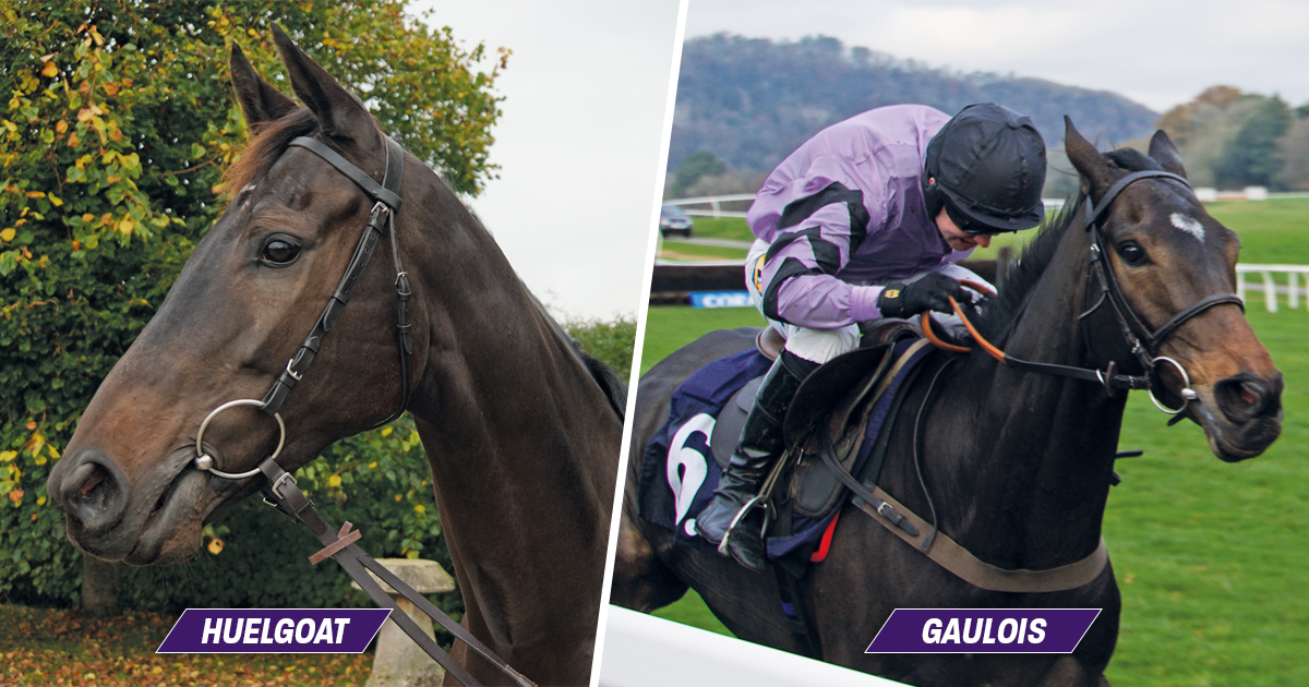 Good luck to owners of Gaulois and Huelgoat, trainer <a href="/PFNicholls/">Paul Nicholls OBE</a> and jockeys <a href="/TomBuckley23/">Tom Buckley</a> &amp; <a href="/CobdenHarry/">Harry Cobden</a>. Both run today at <a href="/NewtonAbbotRace/">Newton Abbot Races</a> (Gaulois in the 2:35, Huelgoat in the 4:30). #OwnersGroup