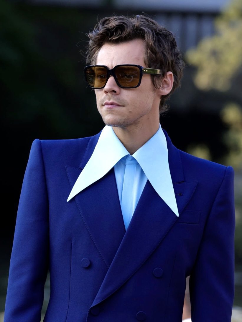 Harry arriving at the Don’t Worry Darling red carpet at the Venice International Film Festival.