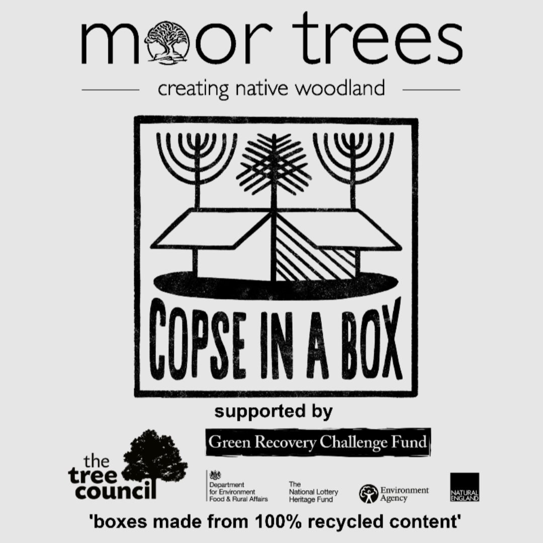 TreesforDorset's tweet photo. Big thanks to @MoorTrees, @TheTreeCouncil &amp; partners for the #CopseinaBox tree nursery kit delivered to @TransitionDorch today. 
What a great start for our #CommunityTreeNursery in Dorchester! @GreenDorset @Dorset_CAN @DorsetCPRE @FellowshipTrees @ReforestB https://t.co/5ZqeFpepGf