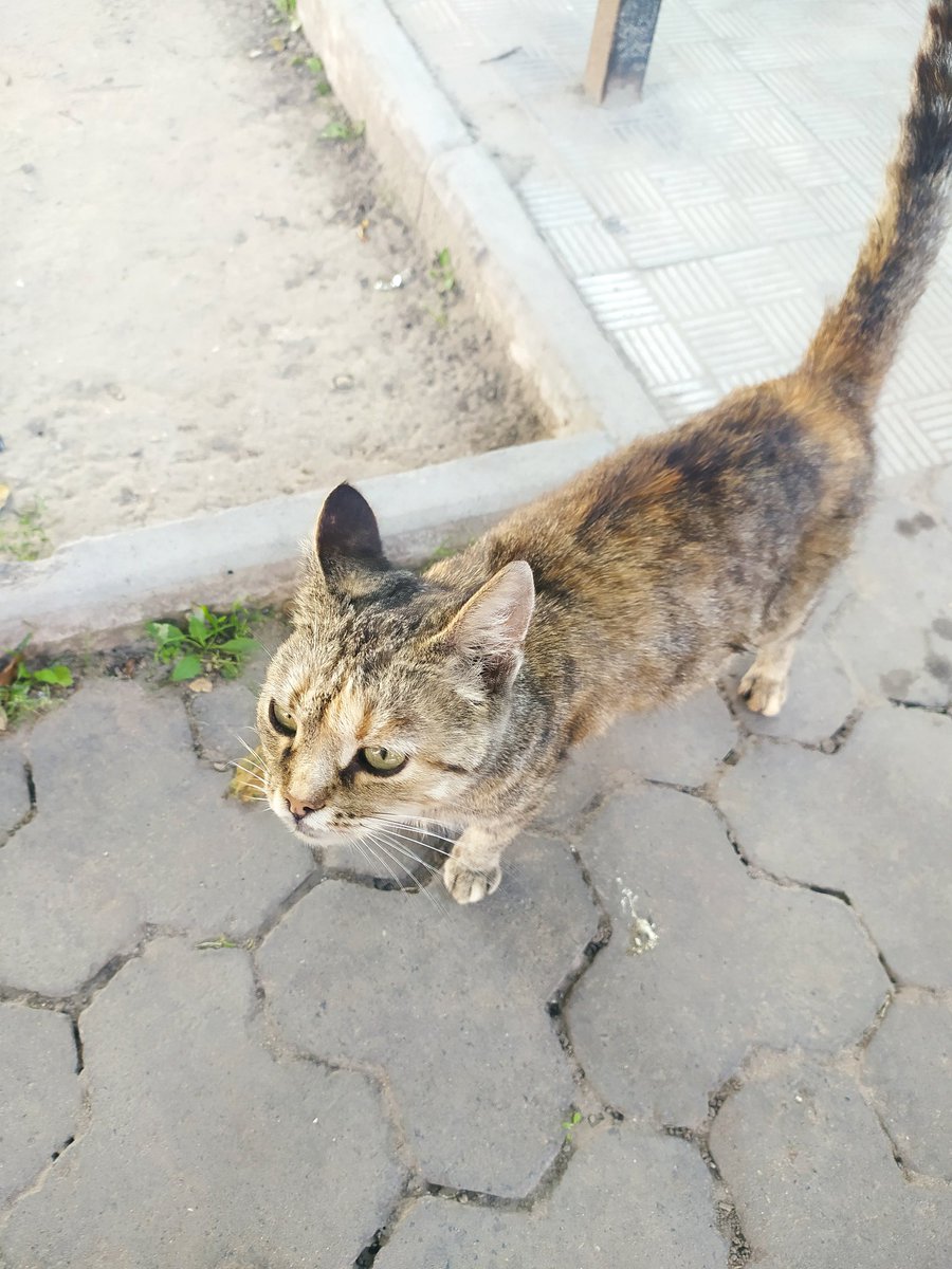 Хто небудь поможіть , я перейшла в нову школу і ніхто не хоче зі мною подружитися (?) Ніхто не проявляє інциативу а тільки до другої дівчини ( зі мною прийшла також ще одна дівчина ) і не скажу що вона веселіше і т.д . А я така людина що не можу бути сама , я хз шо робити 😭😭